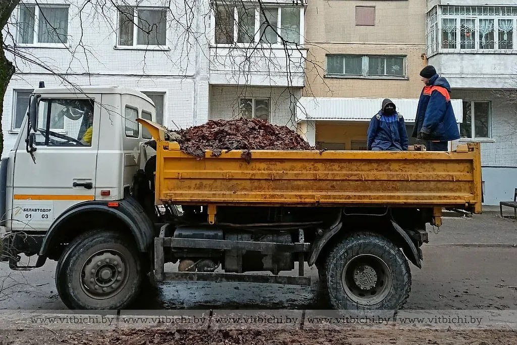 Работники ЖРЭТ г. Витебска продолжают вывозку опавшей листвы с придомовых территорий. 